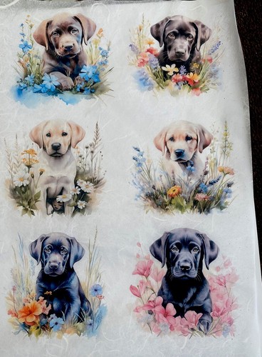 Rice paper for - paper, decoupage