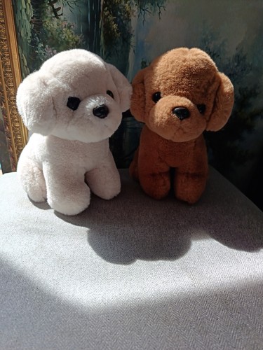 Gosh pair labrador - pair, of