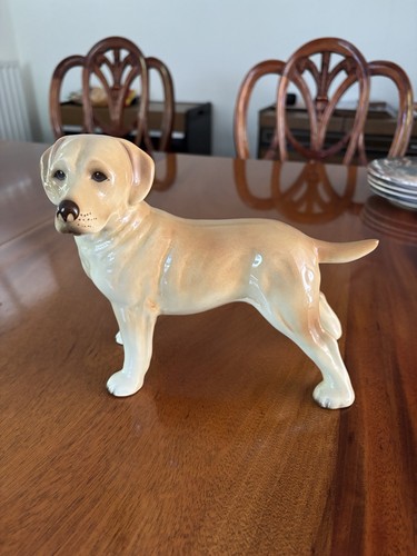 Labrador puppy china - a,