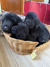 Vintage Prima Classic