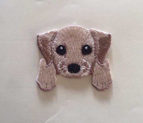Labrador puppies dog head - puppies,