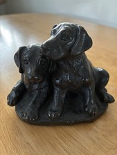 Pair Of Black Labrador Puppies