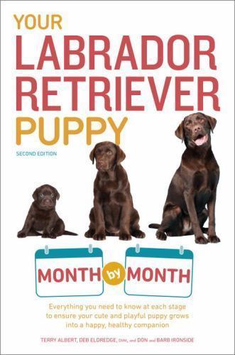 Your labrador retriever puppy - your,