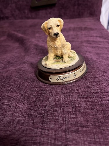 Puppies leonardo yellow - by,