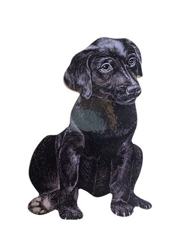 Black labrador puppy magnet - black,