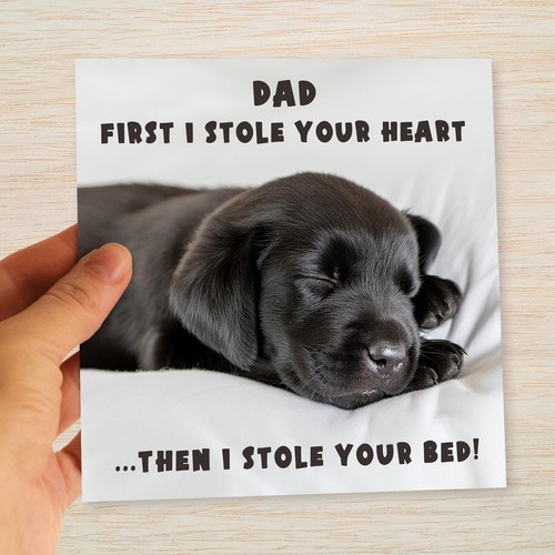 Dog dad birthday - dad,