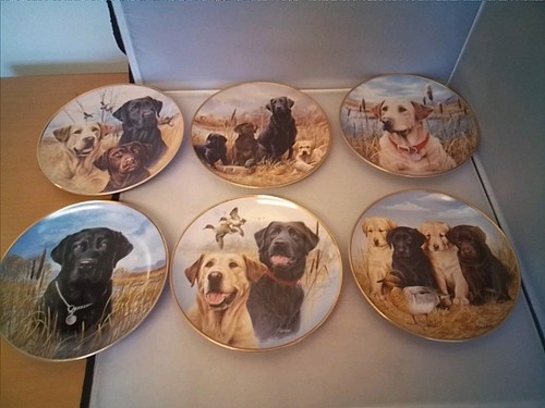 Labrador puppies plates set - labrador,