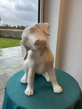 Oliver Labrador Puppy