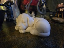 Golden Labrador Sleeping puppy