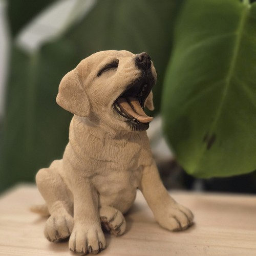 Country artists labrador puppy - country,