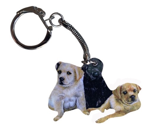 Labrador puppy key - puppy, ring