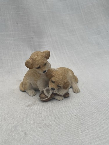 Labrador puppies playing with - labrador,