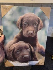 Best of Breed 3D Picture –