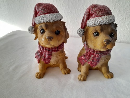 Christmas labrador puppies - x,