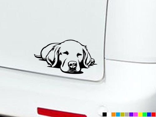Labrador sleeping dog - dog, puppy