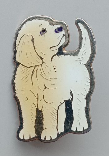 Golden labrador cute - cute, puppy