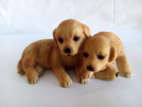 Dog puppy royal - dog,