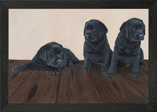 Labrador puppies oil p Framed