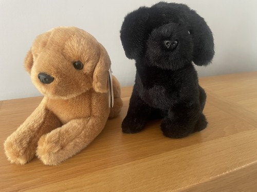 Guide dogs for the blind - dogs,