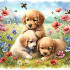 beautiful labrador puppies