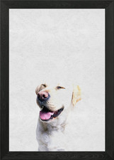 Pet Cute Puppy Labrador Framed