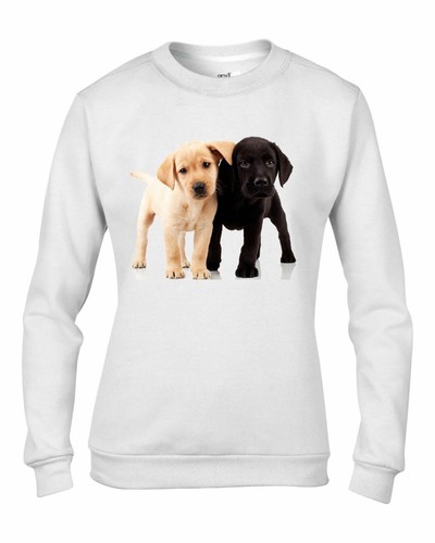 Labrador puppies women - labrador,