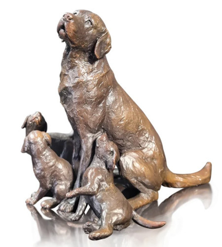 Richard cooper bronze labrador - richard,