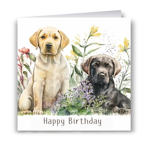 Labrador puppies birthday card - labrador,