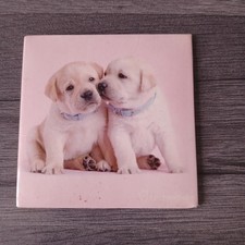 Labrador Puppy Puppies Magnet
