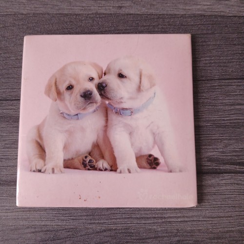 Labrador puppy puppies magnet - labrador,