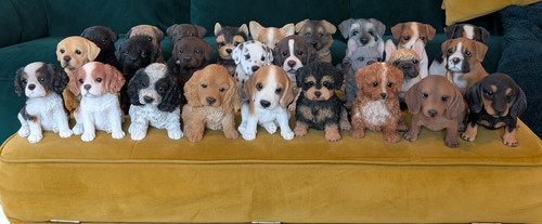 Puppy home garden - home, ornament